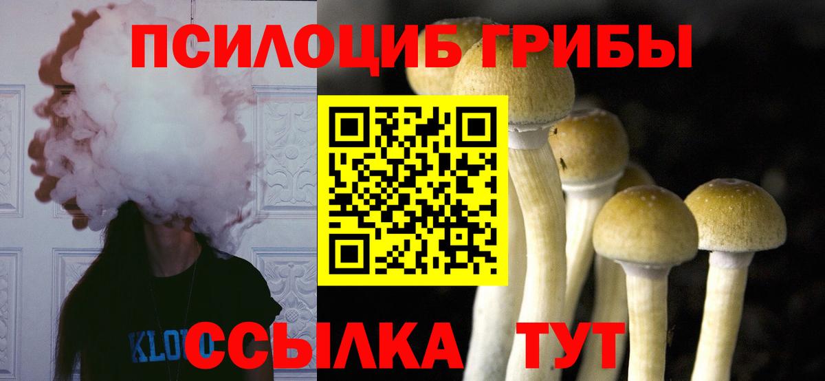 Галлюциногенные грибы мухоморы Волжск